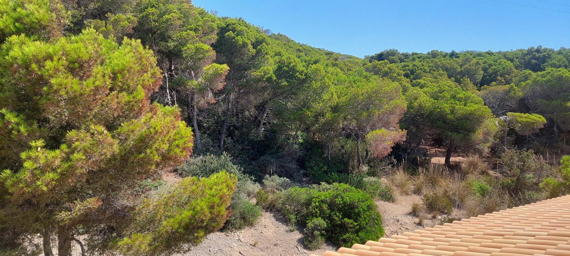 Sol Y Mar Holiday home Cala Ratjada (Mallorca)